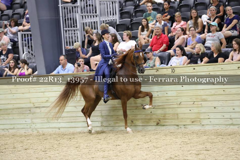 Proof 22R13_13957
