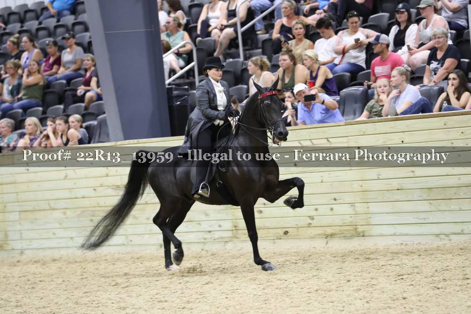 Proof 22R13_13959