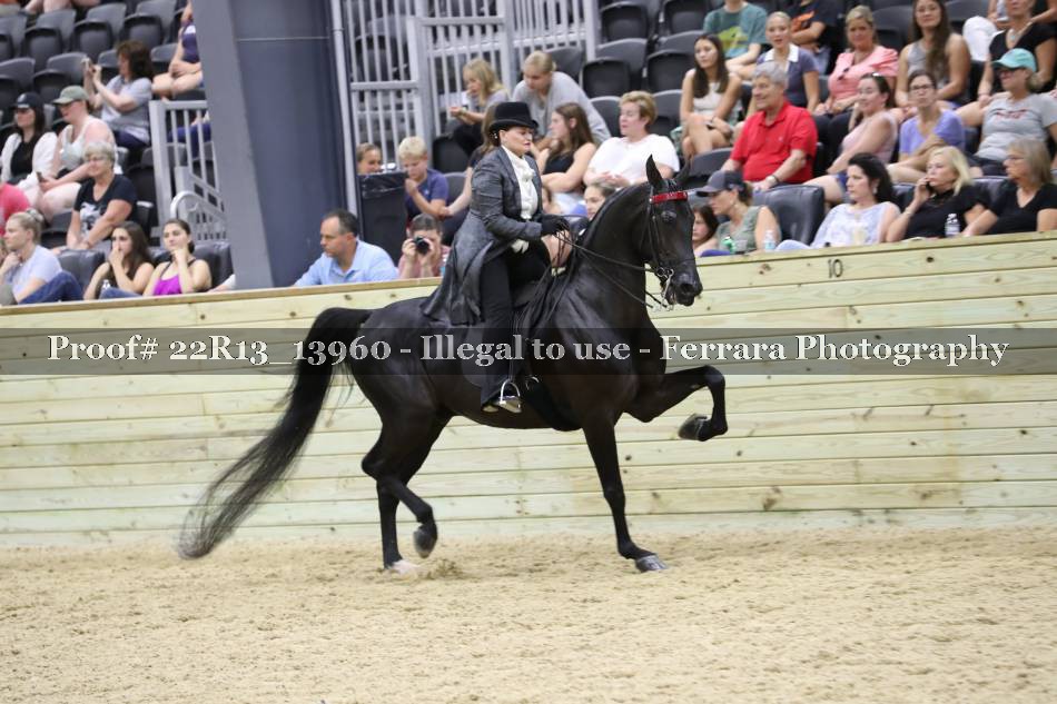 Proof 22R13_13960