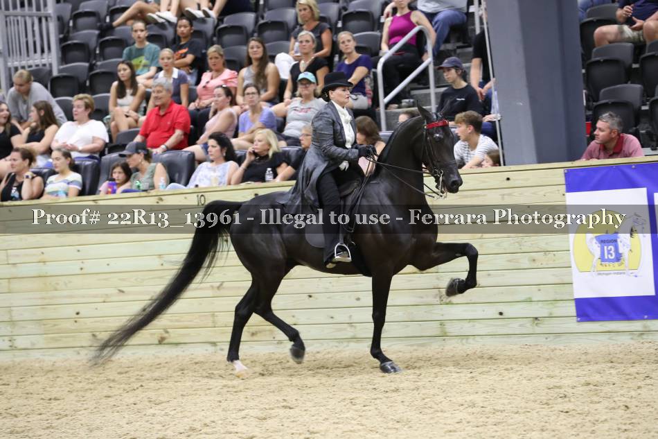 Proof 22R13_13961