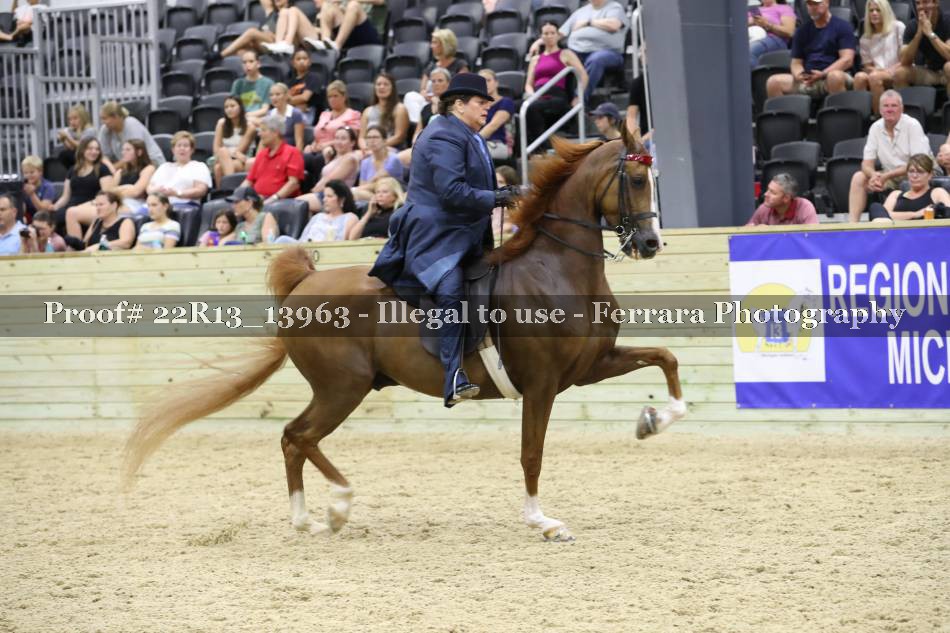 Proof 22R13_13963