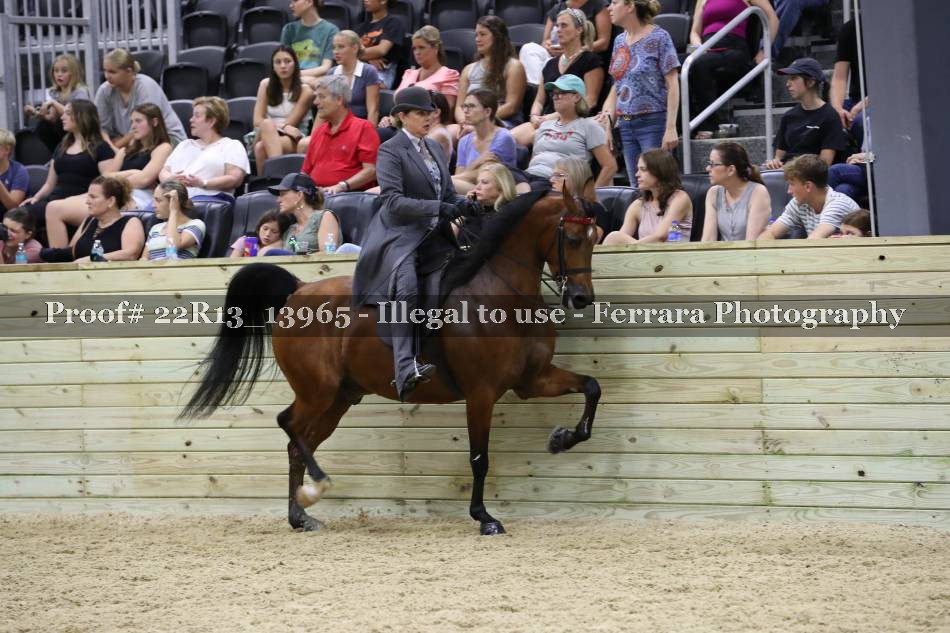 Proof 22R13_13965