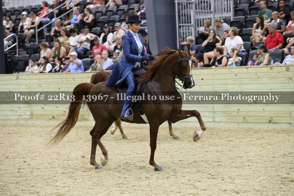 Proof 22R13_13967