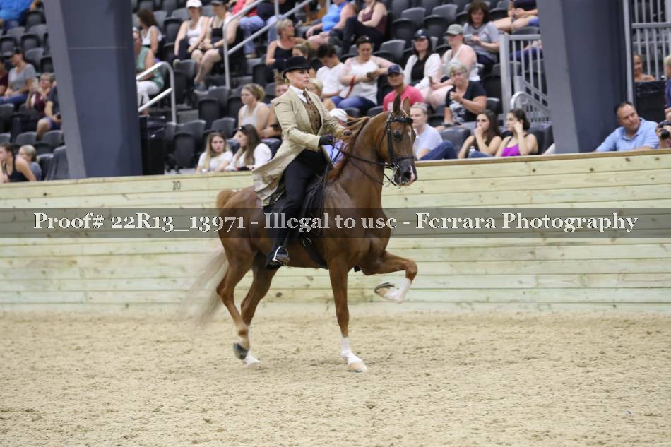 Proof 22R13_13971