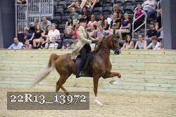 22R13_13972 proof