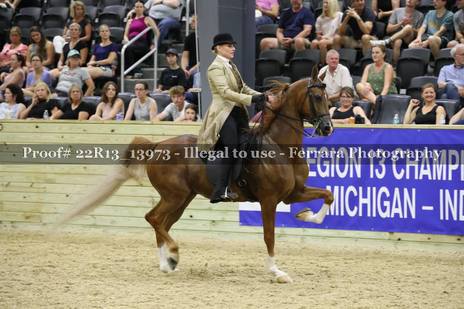 Proof 22R13_13973