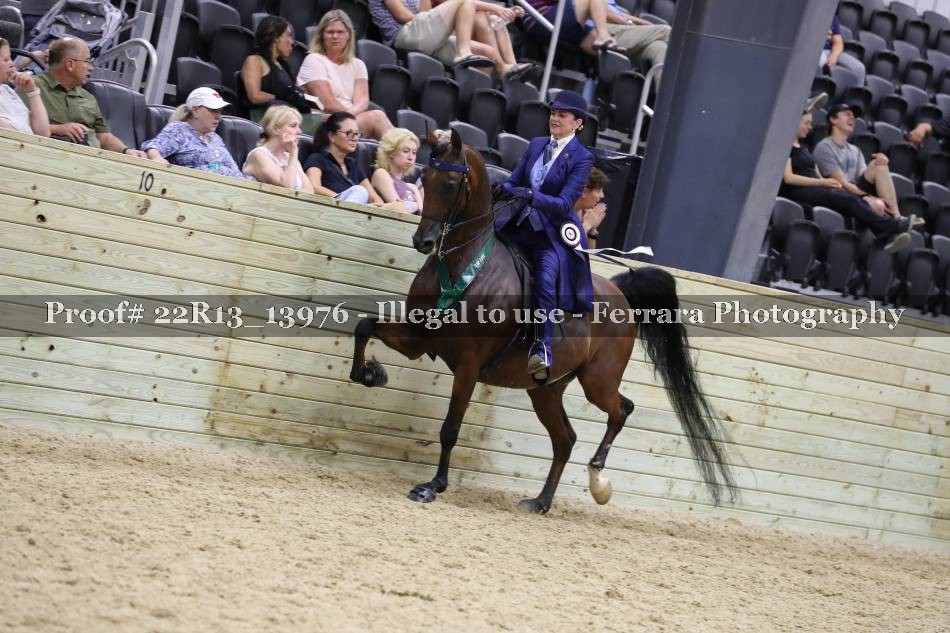 Proof 22R13_13976