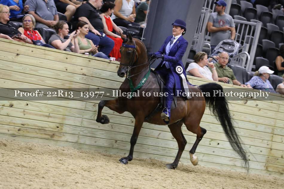 Proof 22R13_13977