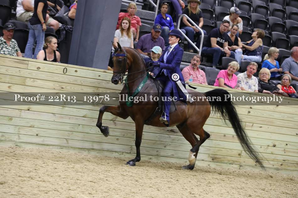 Proof 22R13_13978