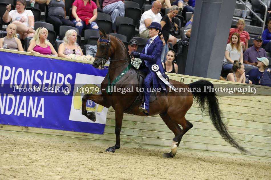 Proof 22R13_13979
