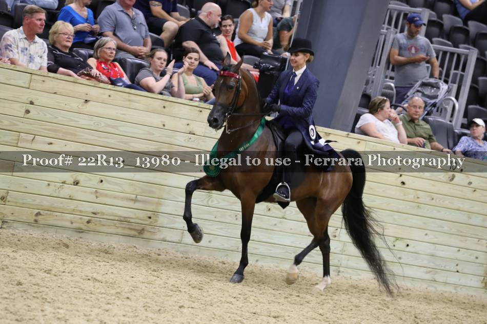 Proof 22R13_13980