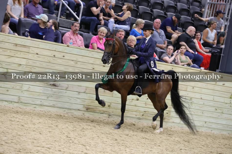 Proof 22R13_13981