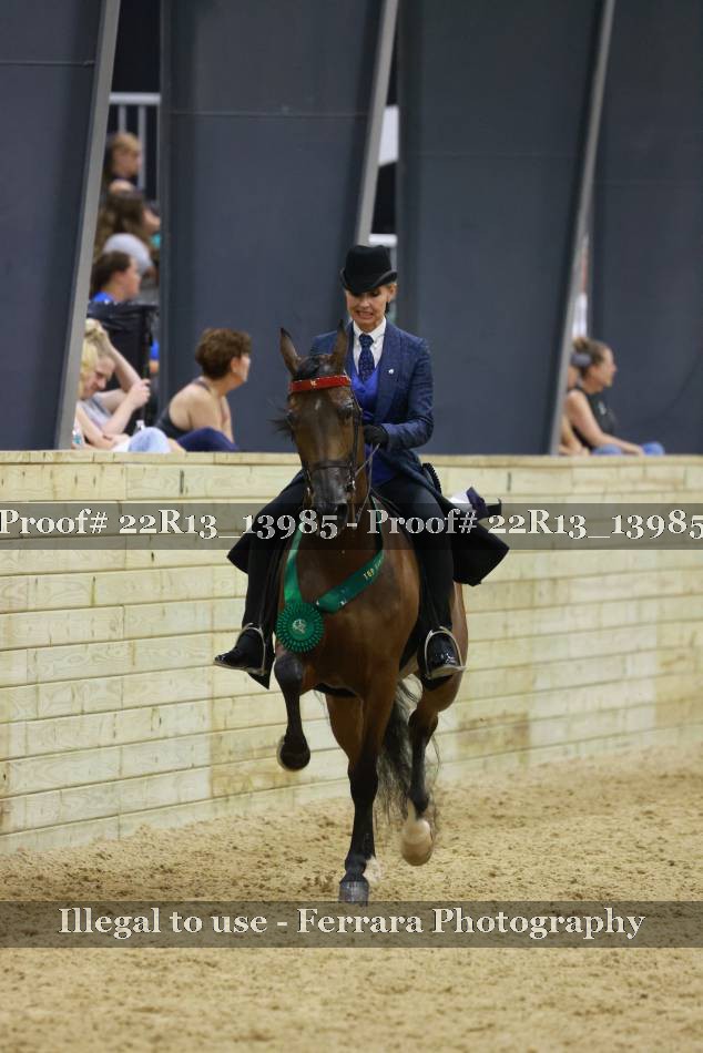 Proof 22R13_13985