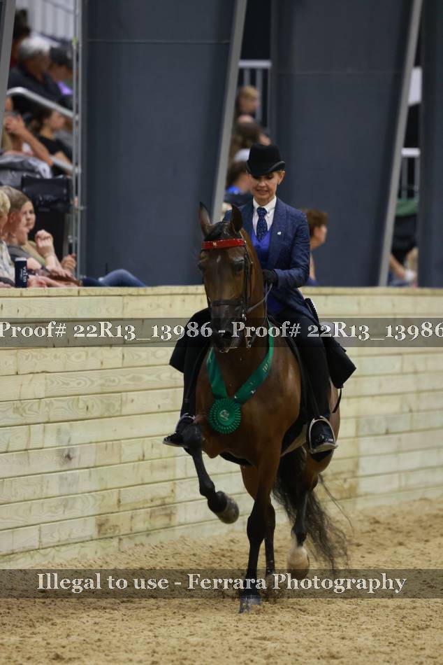 Proof 22R13_13986