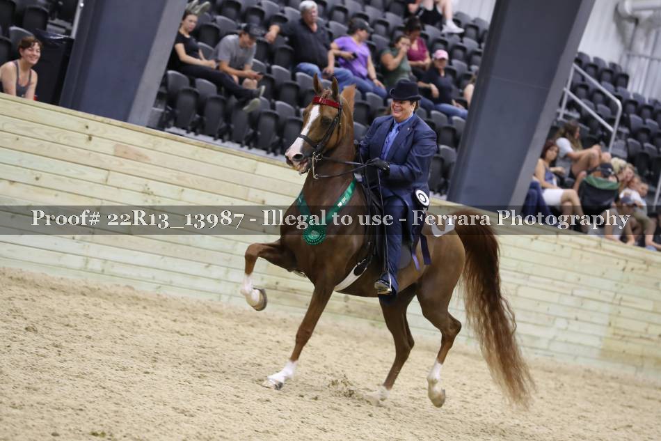 Proof 22R13_13987