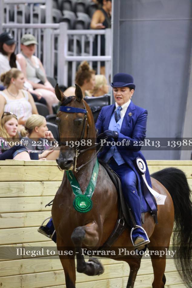 Proof 22R13_13988