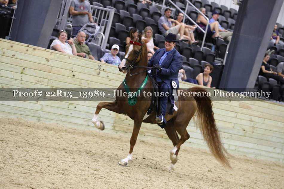 Proof 22R13_13989