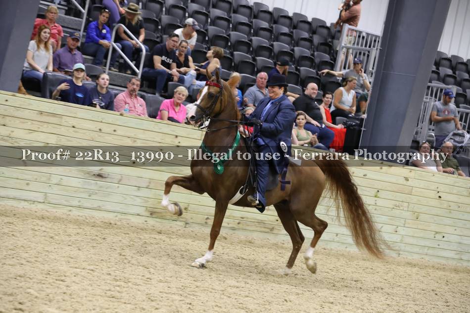 Proof 22R13_13990