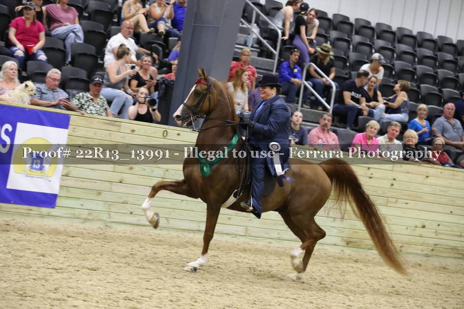 Proof 22R13_13991