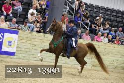 22R13_13991 proof