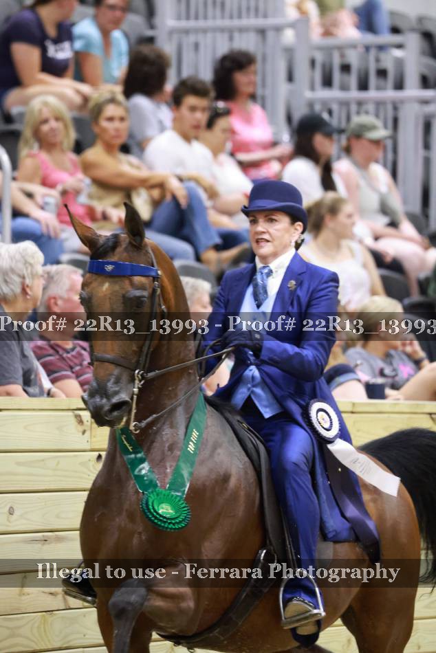 Proof 22R13_13993