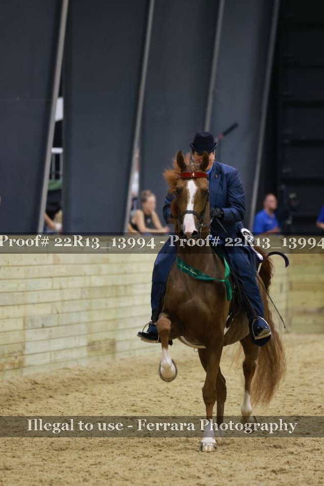 Proof 22R13_13994