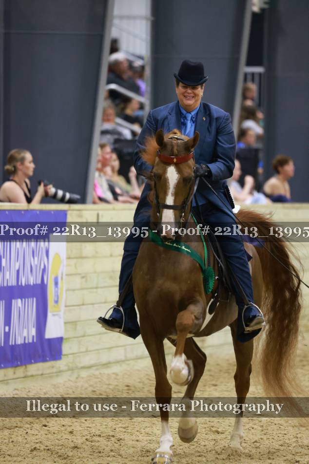 Proof 22R13_13995