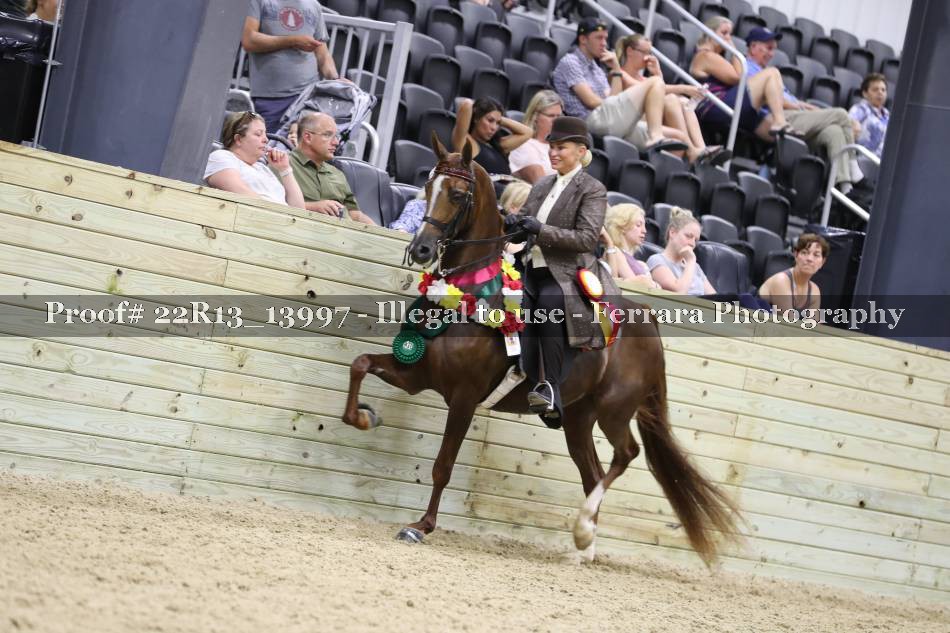 Proof 22R13_13997