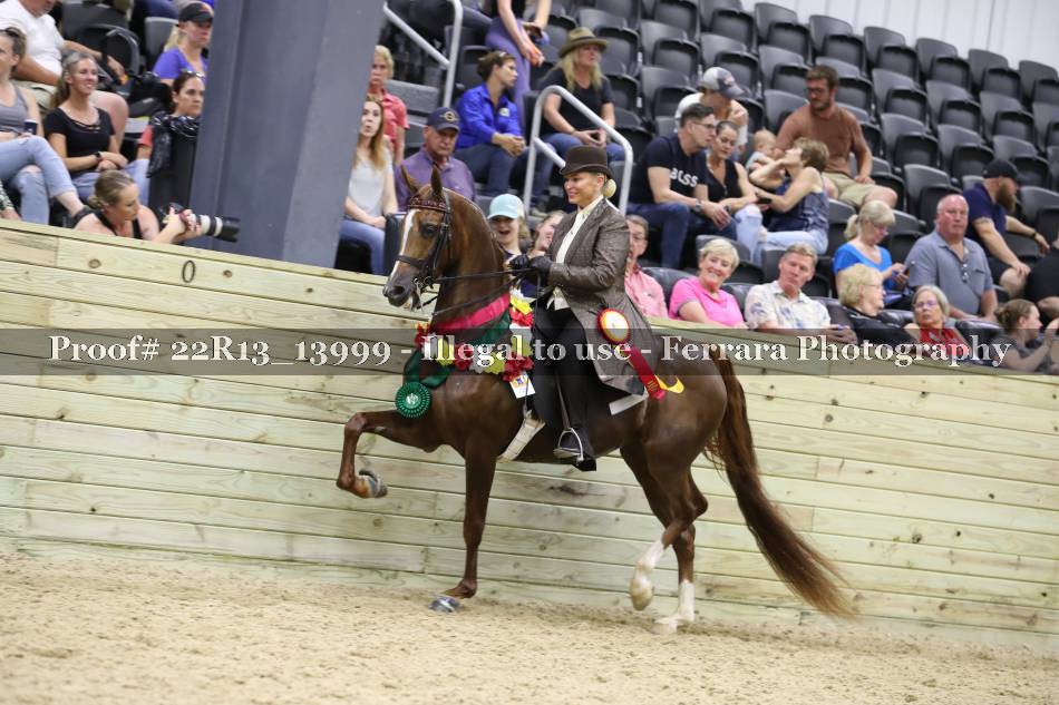 Proof 22R13_13999