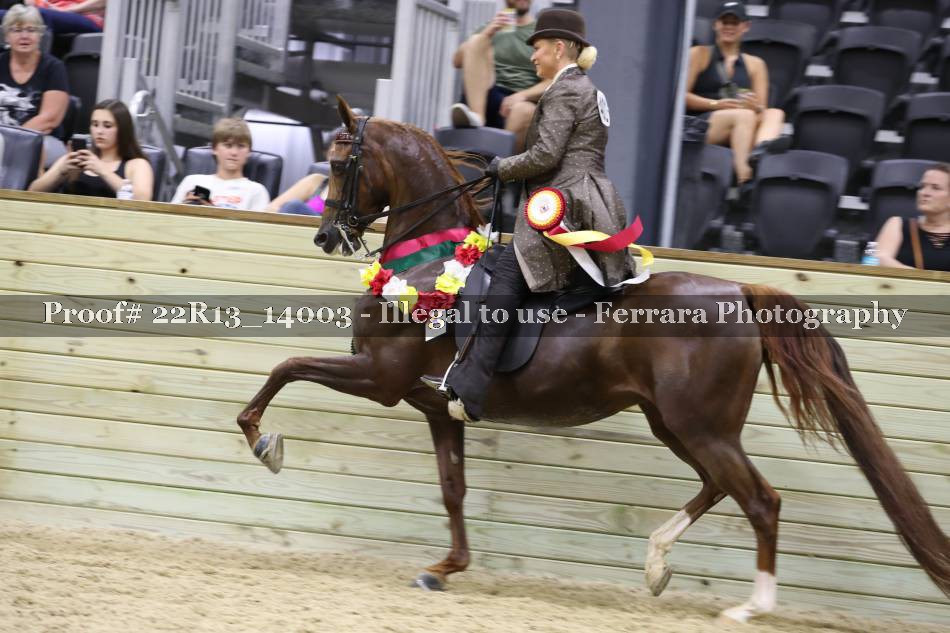 Proof 22R13_14003