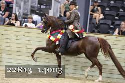 22R13_14003 proof