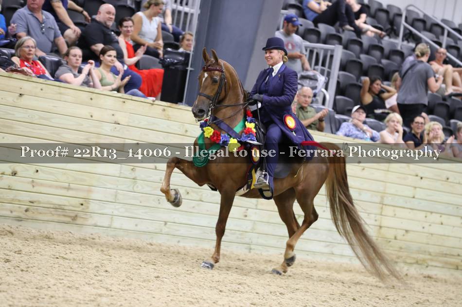 Proof 22R13_14006
