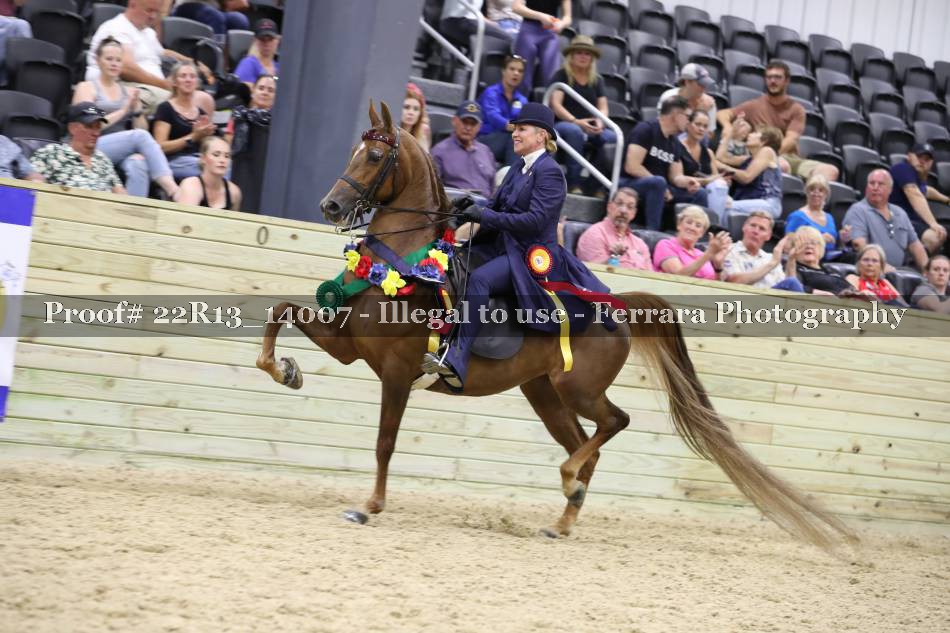 Proof 22R13_14007