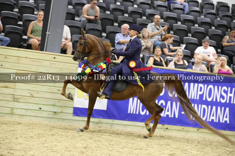 Proof 22R13_14009