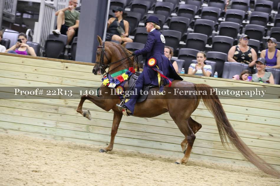Proof 22R13_14011