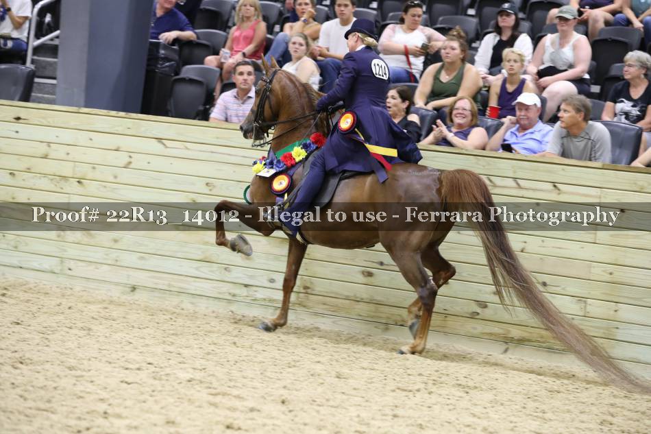 Proof 22R13_14012
