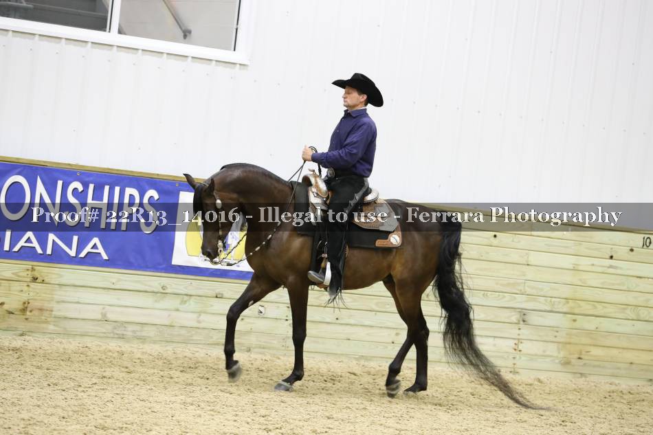 Proof 22R13_14016
