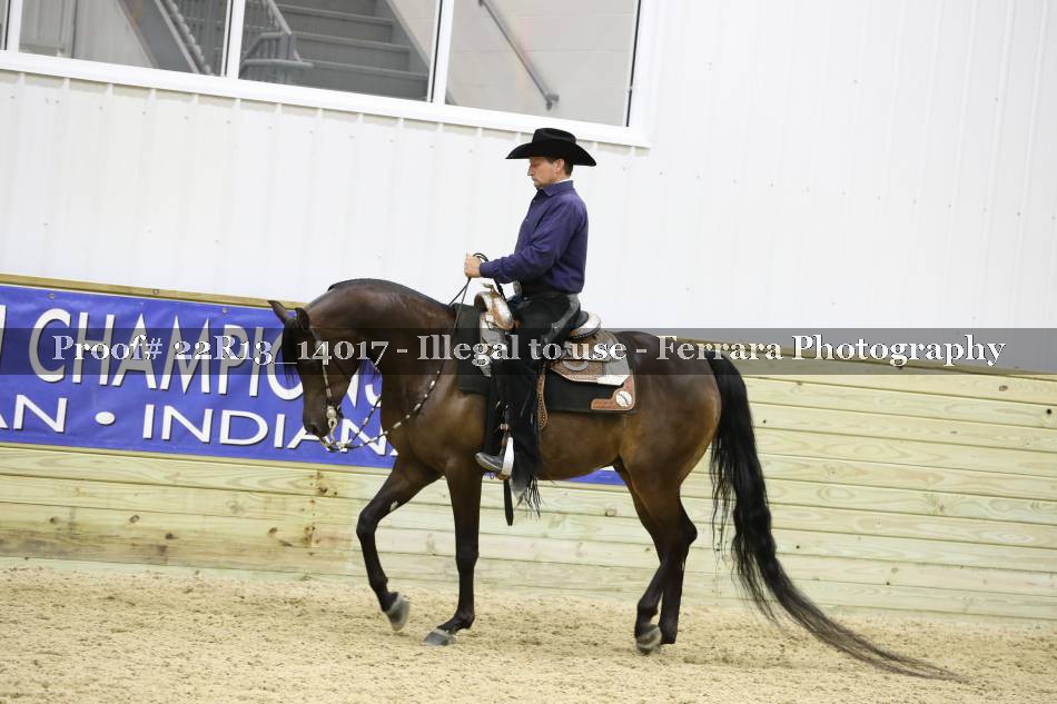 Proof 22R13_14017