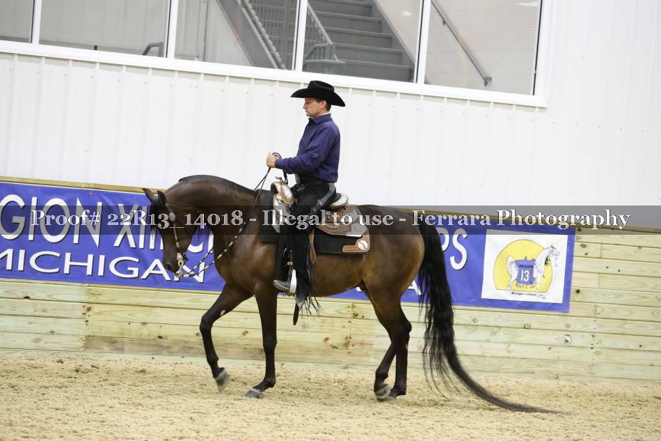 Proof 22R13_14018