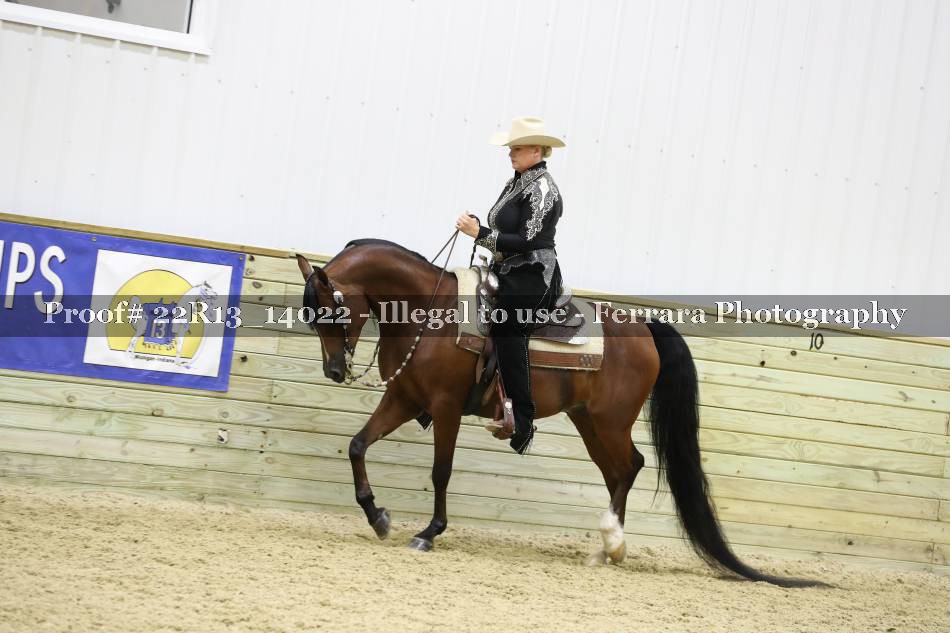 Proof 22R13_14022