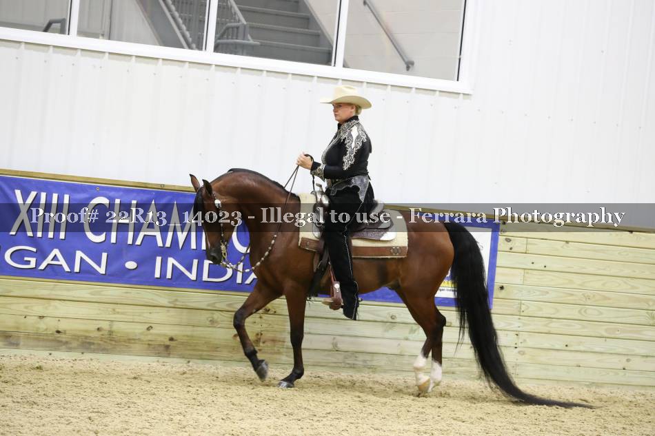 Proof 22R13_14023