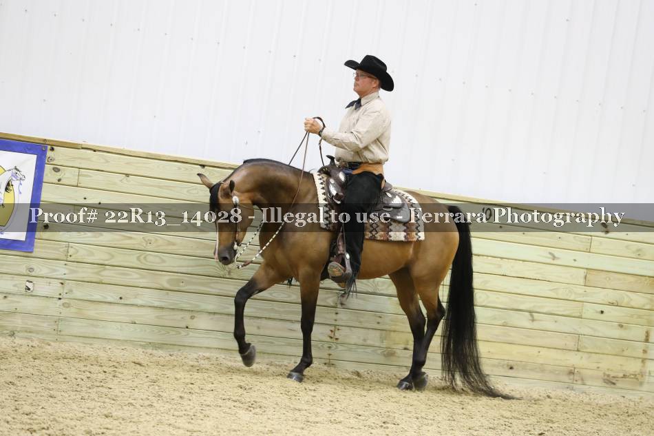 Proof 22R13_14028