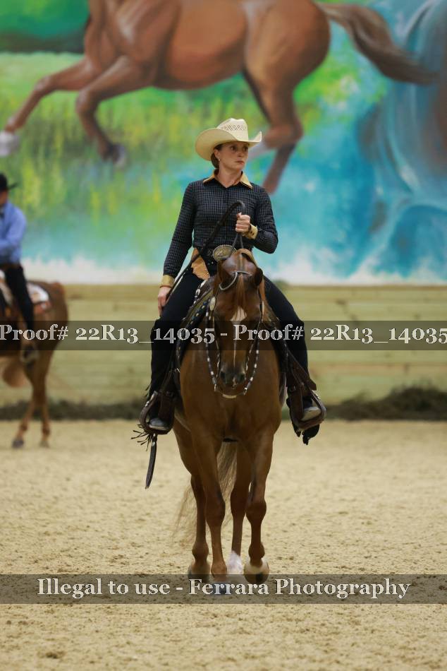 Proof 22R13_14035