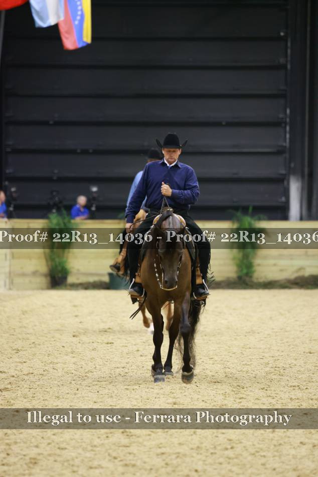 Proof 22R13_14036