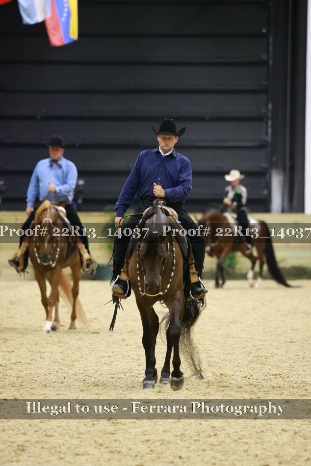 Proof 22R13_14037