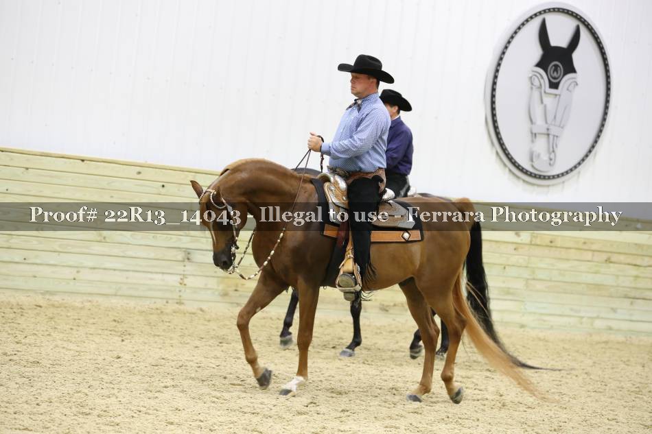 Proof 22R13_14043