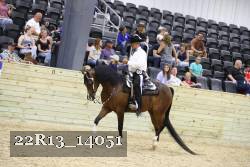 22R13_14051 proof