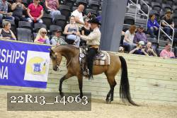 22R13_14063 proof