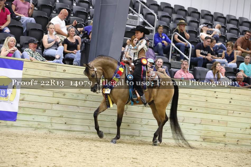 Proof 22R13_14079