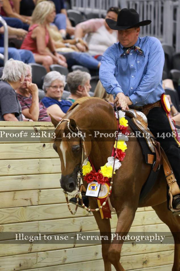 Proof 22R13_14081